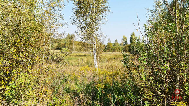 Działka inwestycyjna Ciasne gm. Supraśl,