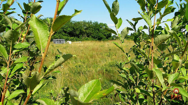 Działka budowlana Henrykowo gm. Supraśl,