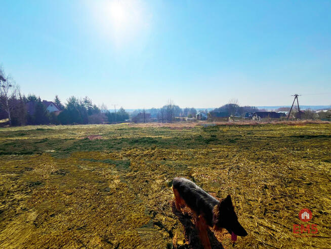 Działka inwestycyjna Nowe Aleksandrowo gm. Dobrzyniewo Duże Ogrodniki,