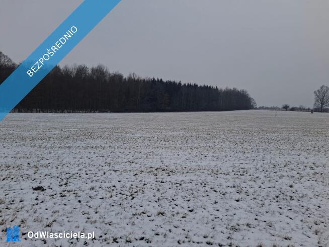 16 ha ziemi Gorzanów