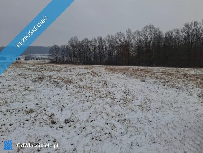 16 ha ziemi Gorzanów