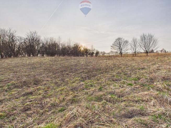 DOM WOLNOSTOJĄCY NARAMA – DUŻA DZIAŁKA