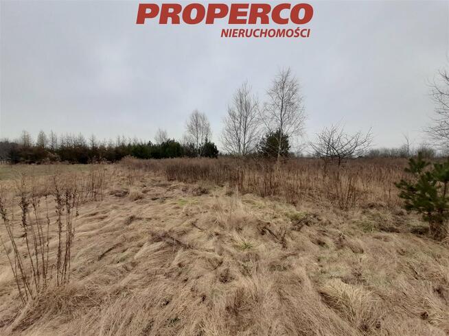 Działka Chełmce gm. Strawczyn, Akacjowa