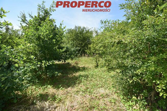 Działka Kielce Piaski, Piaski nad Rzeką