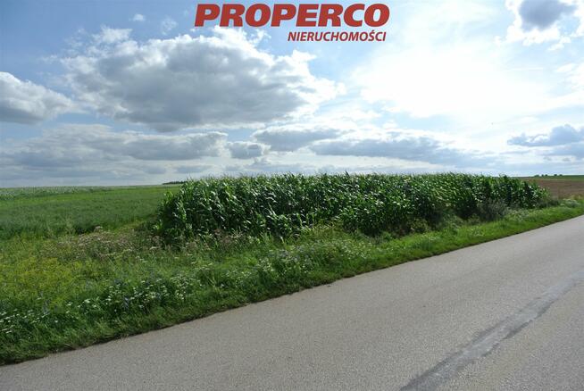 Działka Łatanice gm. Wiślica