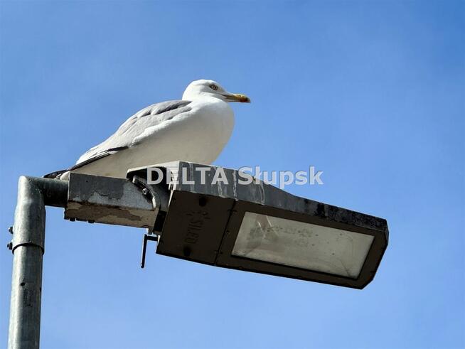 Mieszkanie Ustka, Grunwaldzka