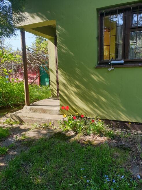 Sprzedam działkę ROD