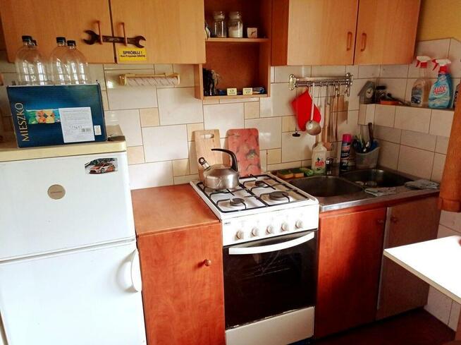 DWA DOMY POD LASEM CAŁOROCZNE DWIE DZIAŁKI OKAZJA