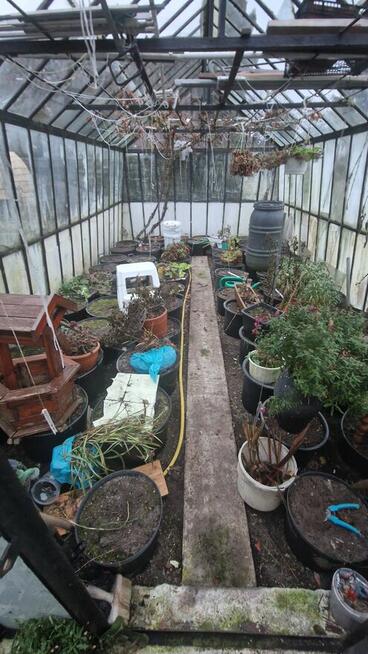 Sprzedam działke ROD - Altanka + szklarnia GIŻYCKO