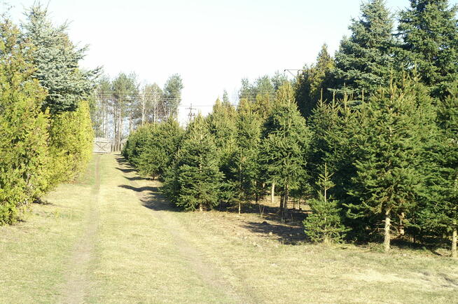 Działka budowlana 36a Jawidz 20km od Lublina