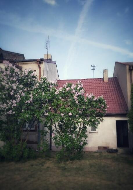 Dom vintage
