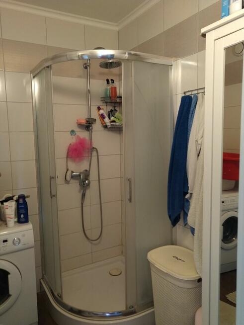 mieszkanie do wynajęcia