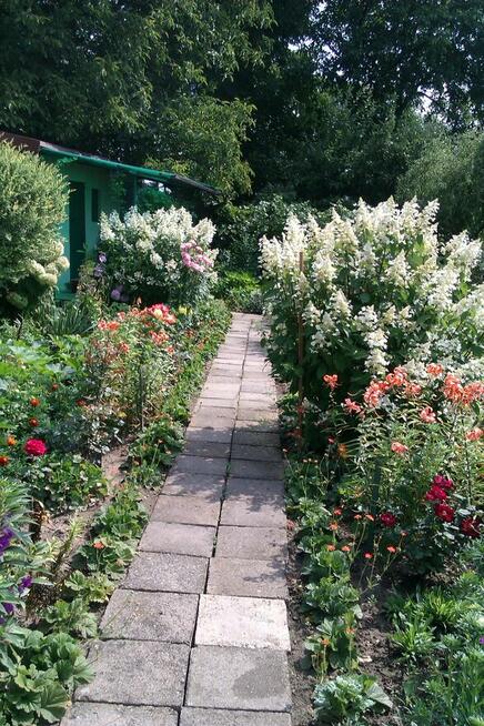 sprzedam działkę RODSwobodaToruń