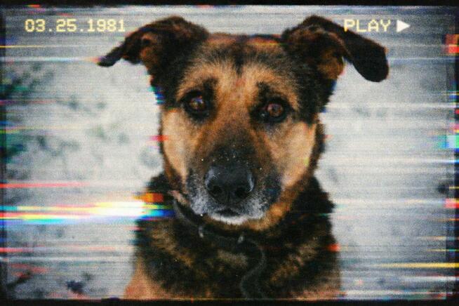 Zdjęcia starymi Aparatmi Fotograficznymi Warszawa