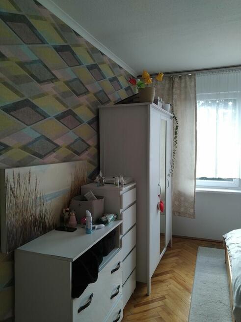 mieszkanie do wynajęcia