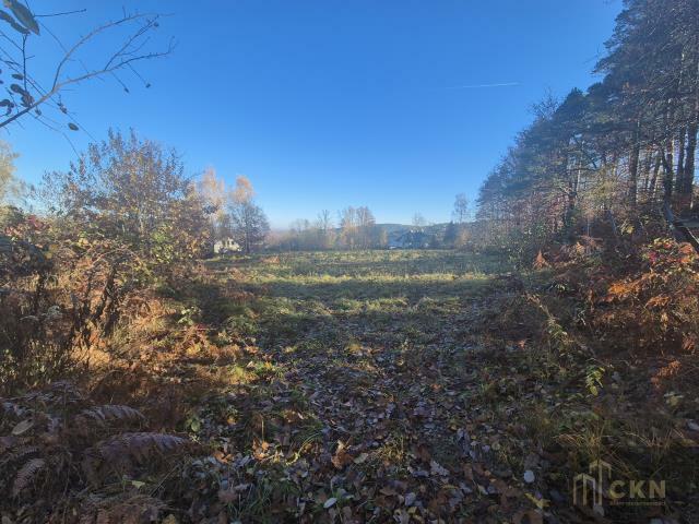 Działka budowlana Kornatka gm. Dobczyce, Kornatka