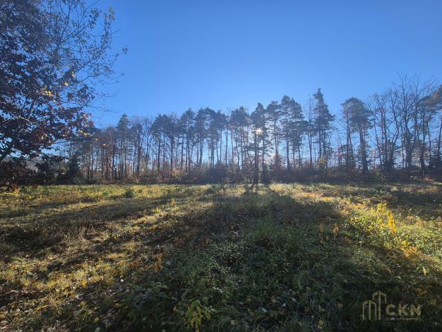 Działka budowlana Kornatka gm. Dobczyce, Kornatka