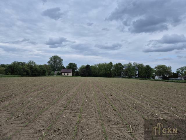 Działka rolno-budowlana Kraków Nowa Huta, Nowa Huta