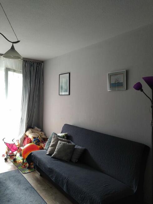 mieszkanie do wynajęcia