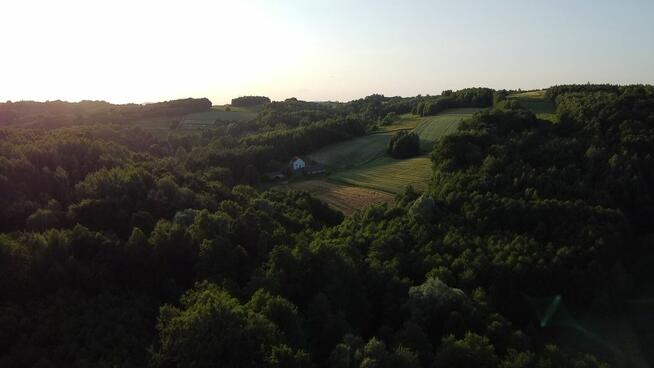 Gospodarstwo w spokojnej okolicy do wynajęcia (podkarpacie)