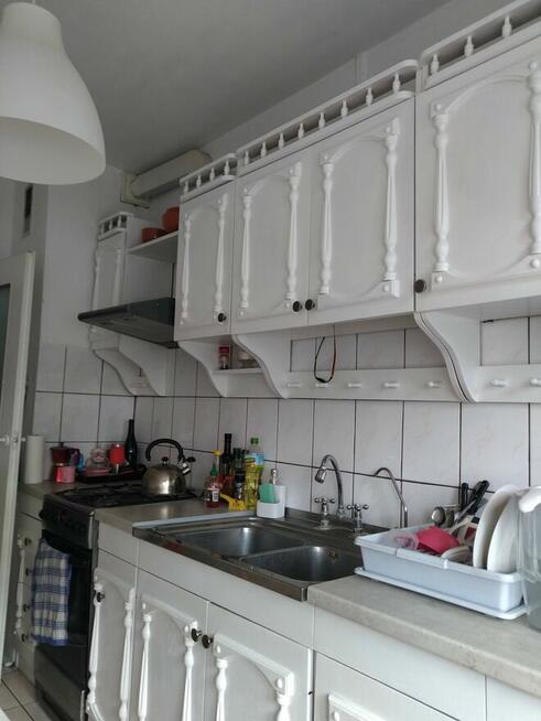 mieszkanie do wynajęcia