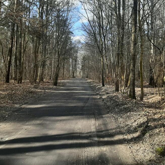 Działka Zgierz Chełmy