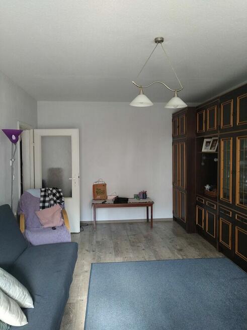 mieszkanie do wynajęcia