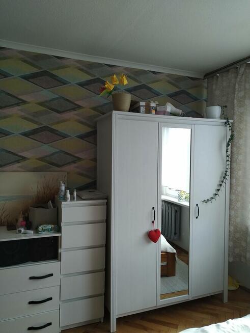 mieszkanie do wynajęcia