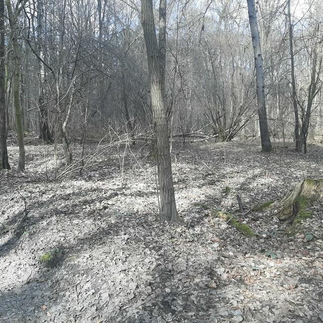 Działka Zgierz Chełmy