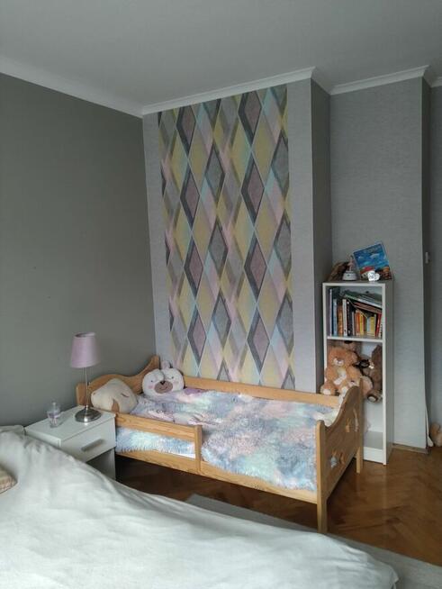 mieszkanie do wynajęcia