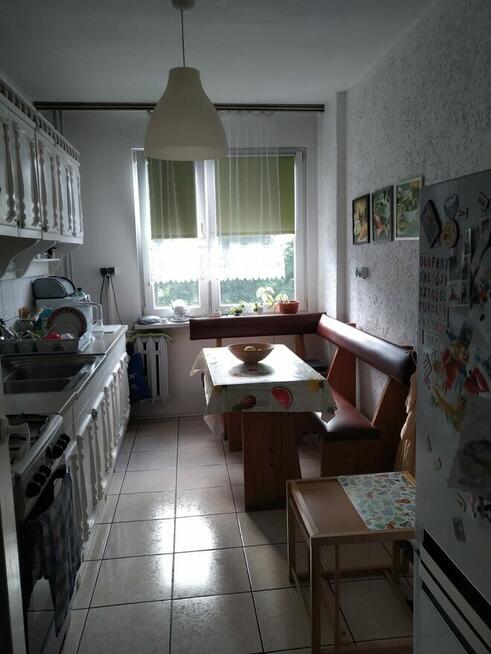 mieszkanie do wynajęcia