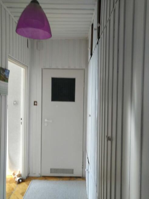 mieszkanie do wynajęcia