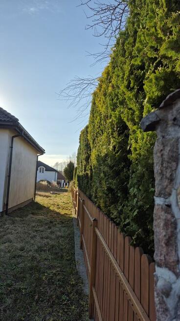 Cięcie tui, drzew owocowych, porządkowanie ogrodów, trawniki