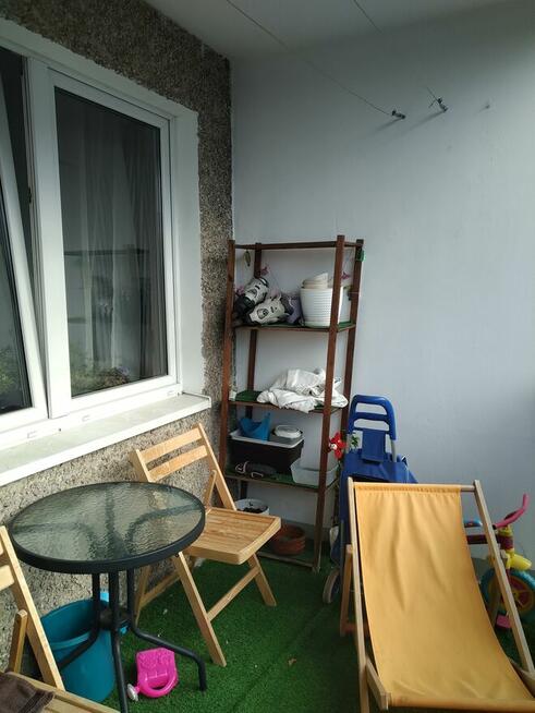 mieszkanie do wynajęcia