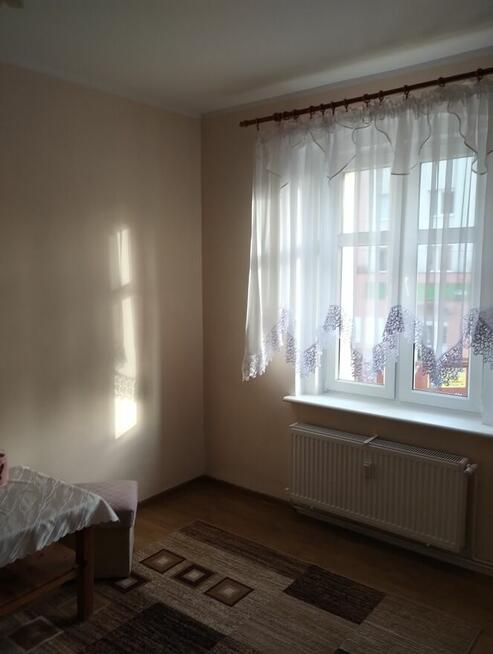 Mieszkanie do wynajęcia