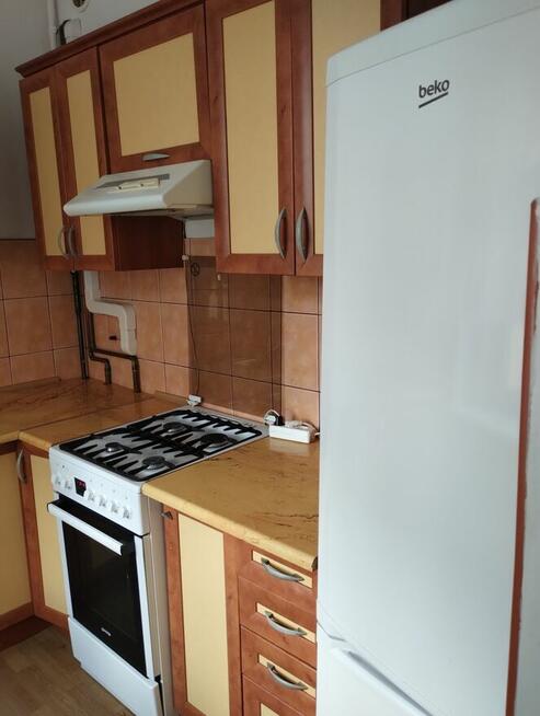 Mieszkanie do wynajęcia