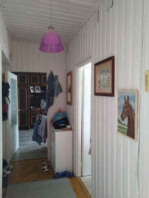 mieszkanie do wynajęcia