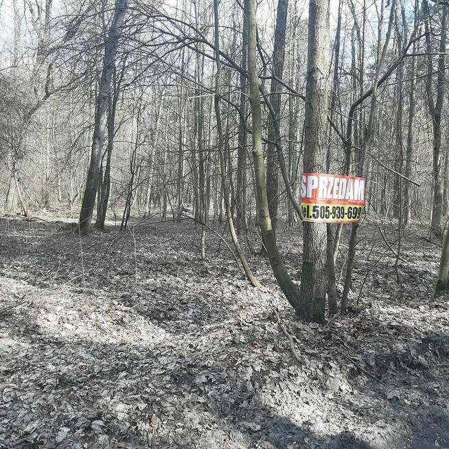 Działka Zgierz Chełmy