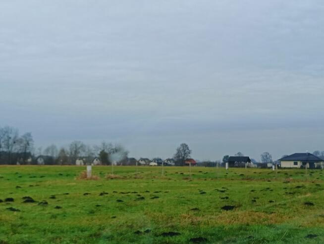 Działka 3000m2 koło Bydgoszczy- nie ROD