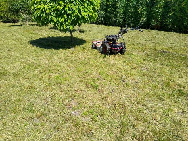 Zielony Trawnik – Zakładanie Trawników | Łódź i okolice