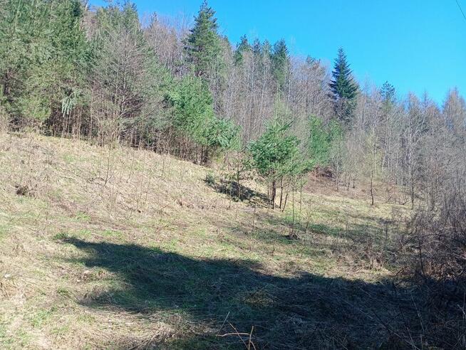 Urokliwe ustronie w górach blisko Krakowa, z dobrym dojazdem