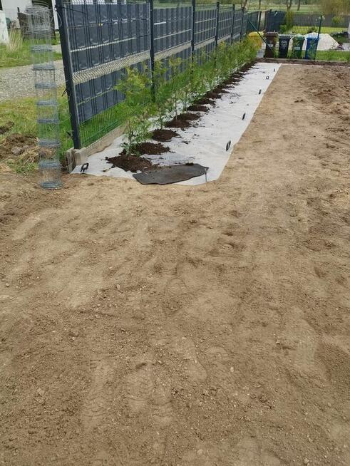 Zielony Trawnik – Zakładanie Trawników | Łódź i okolice