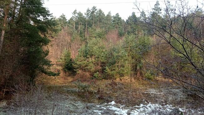 Urokliwe ustronie w górach blisko Krakowa, z dobrym dojazdem