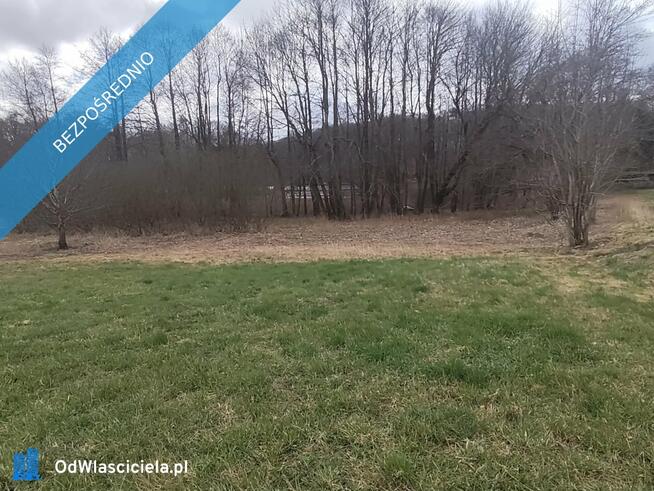 Działka 1,33 ha z brzegiem Jeziora Dużego (Orle, pow. kościerski) i warunkami zabudowy