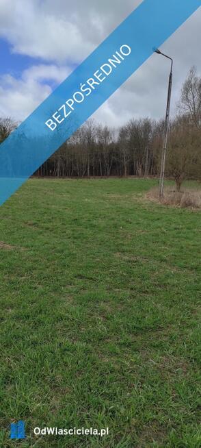 Działka 1,33 ha z brzegiem Jeziora Dużego (Orle, pow. kościerski) i warunkami zabudowy