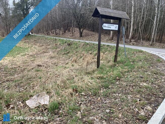 Działka 1,33 ha z brzegiem Jeziora Dużego (Orle, pow. kościerski) i warunkami zabudowy