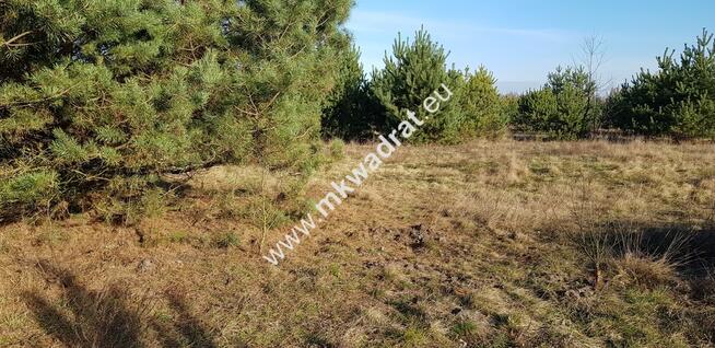 Działka z MPZP Bieganów