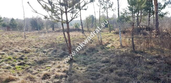 Działka z MPZP Bieganów