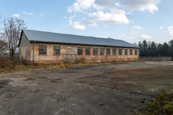 Lokal użytkowy Szczekociny