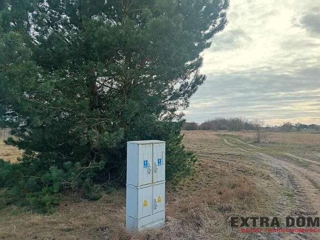 Działka Lubczyna